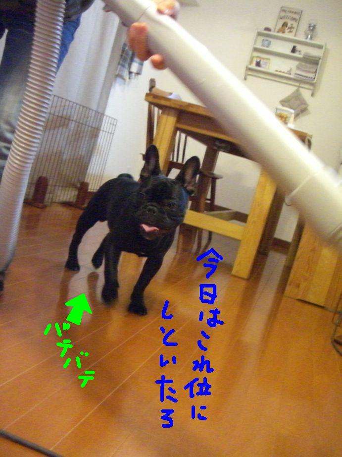 c0113109_2225624.jpg
