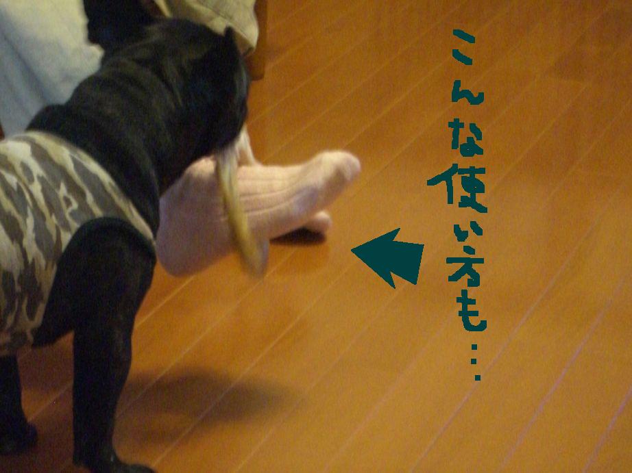c0113109_223592.jpg