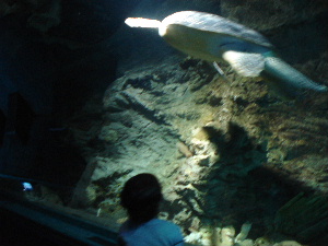 e0089710_505965.jpg