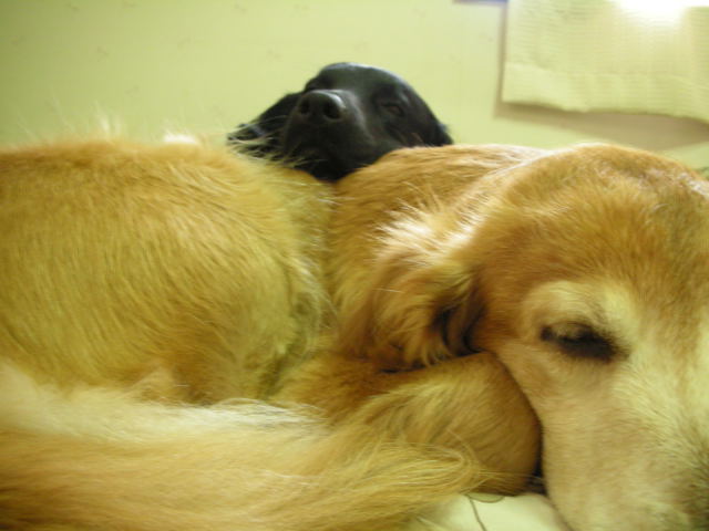 c0017311_1675942.jpg