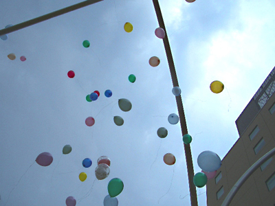 f0121111_174949.jpg
