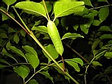 a0027014_210561.jpg