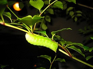 a0027014_210588.jpg
