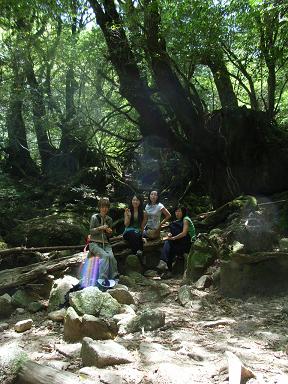 d0050616_7493790.jpg