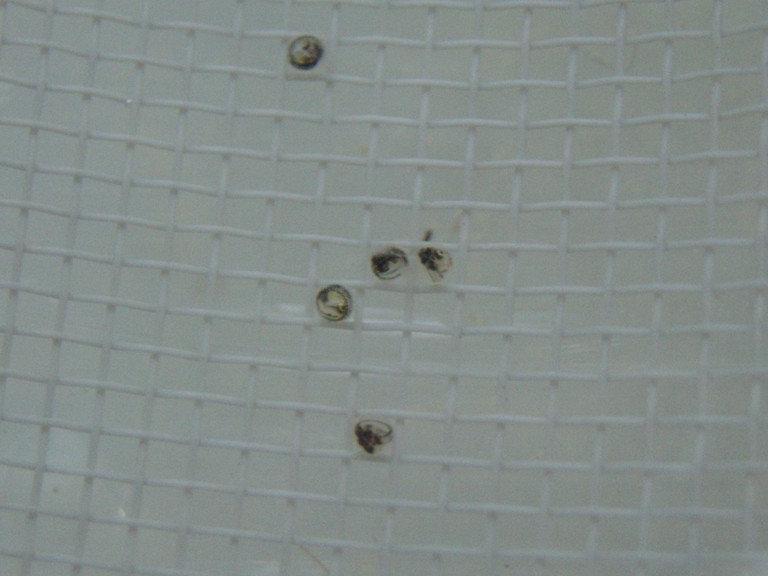 f0137616_23122760.jpg
