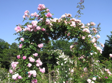 f0128723_2105883.jpg