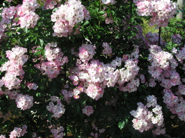 f0128723_2121872.jpg