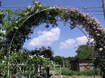 f0128723_21291035.jpg