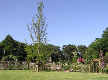 f0128723_21395620.jpg