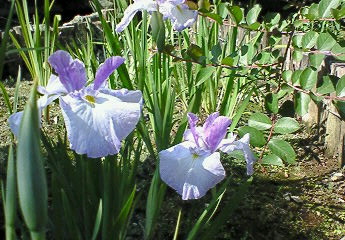 a0036626_23262841.jpg