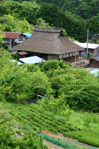 f0081726_20481429.jpg
