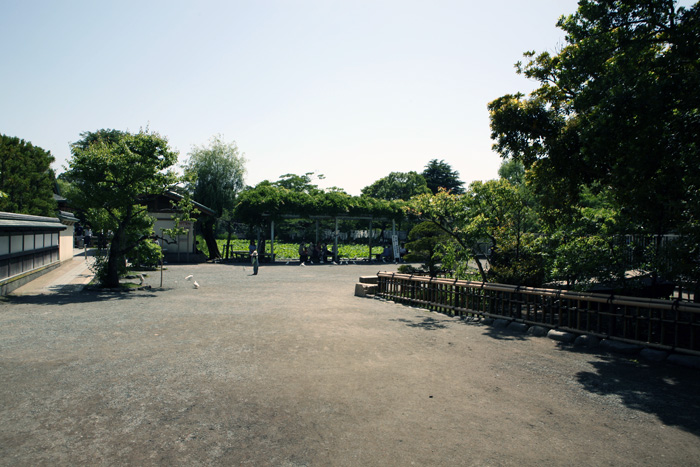c0039630_165874.jpg