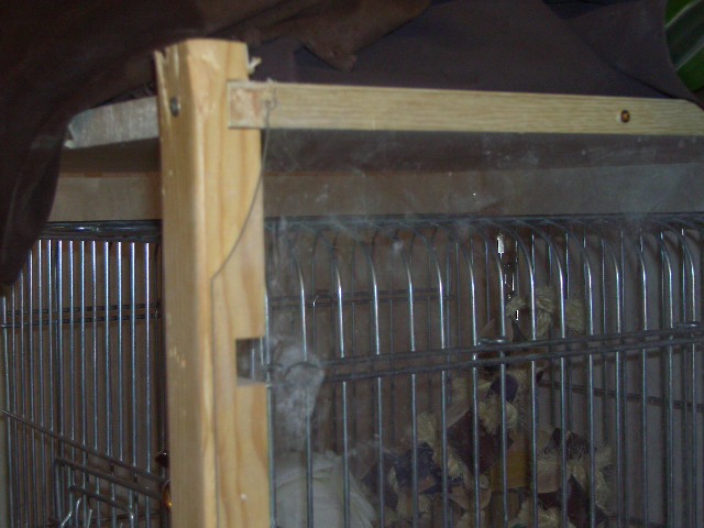 e0107730_2113798.jpg