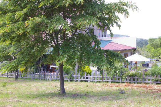c0091336_17174544.jpg