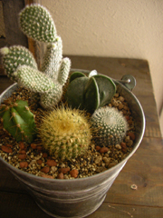f0032340_23553093.jpg