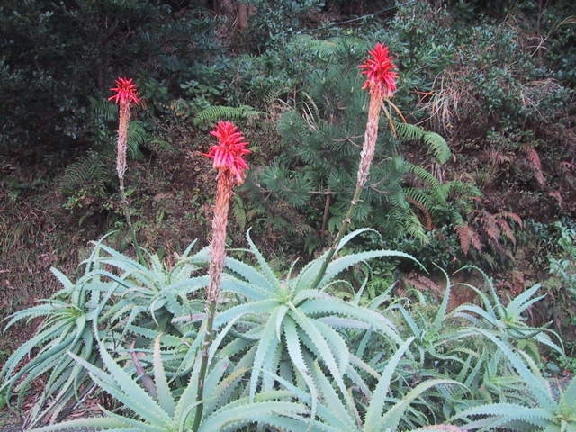 f0046250_1931190.jpg