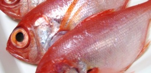 f0136850_081012.jpg