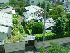 b0048766_00818.jpg