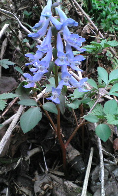 e0120466_11324695.jpg