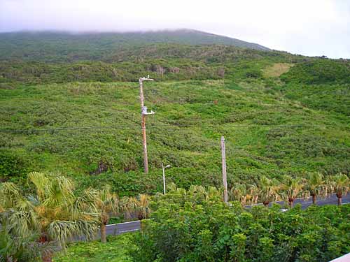 e0097770_2081053.jpg
