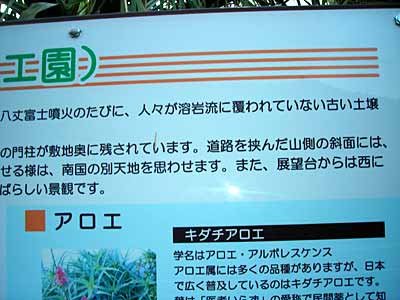 e0097770_2092329.jpg