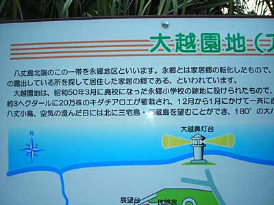 e0097770_209785.jpg