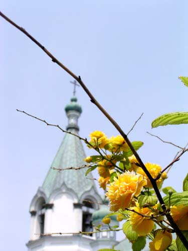 f0092382_1339150.jpg