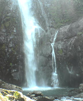 f0137483_13524110.jpg