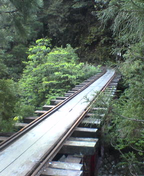 f0137483_21123886.jpg
