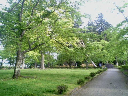 f0079191_22222028.jpg