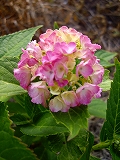 c0033992_23583573.jpg