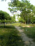 c0097806_2271063.jpg
