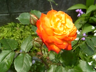 e0098908_2243211.jpg