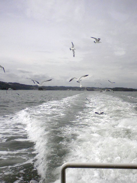 e0071811_20442943.jpg