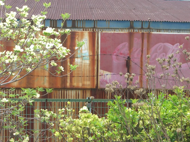 d0114517_8595956.jpg