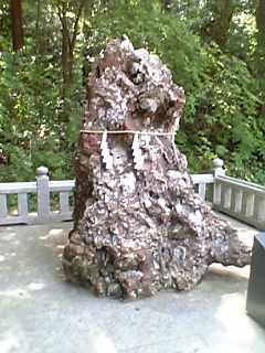 e0019320_2313652.jpg