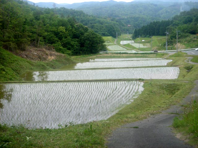 e0083820_136466.jpg