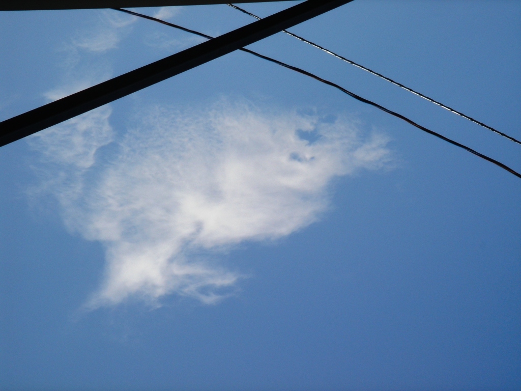 f0114520_0565955.jpg