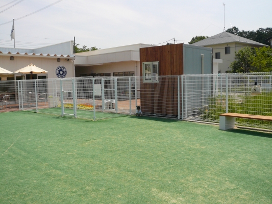 f0128821_23165459.jpg