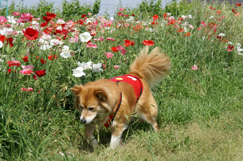 c0030624_22591494.jpg