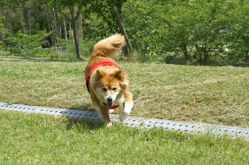 c0030624_23273159.jpg