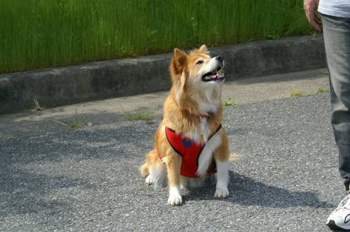 c0030624_238587.jpg