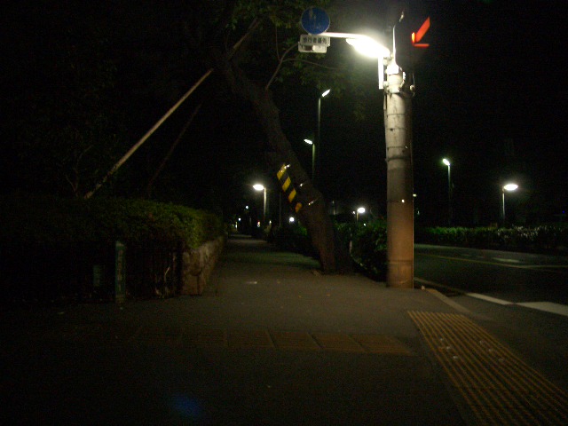 c0078032_10135385.jpg