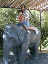 b0080033_1503016.gif