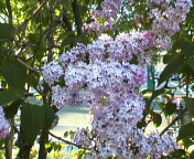 a0088238_23325434.jpg