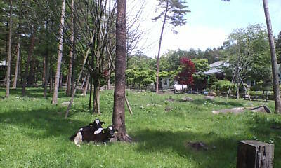 d0106440_23404612.jpg