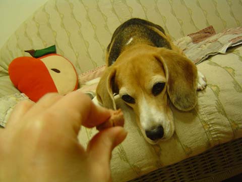 a0042044_23151896.jpg