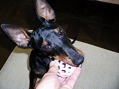 c0123149_15133760.jpg