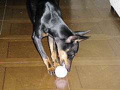 c0123149_15155299.jpg
