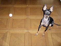 c0123149_15192498.jpg